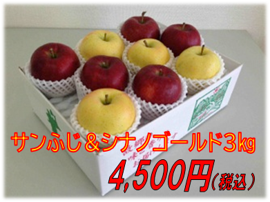 期間限定受付 菅野農園さん江刺りんごギフトのお知らせ 株式会社正和